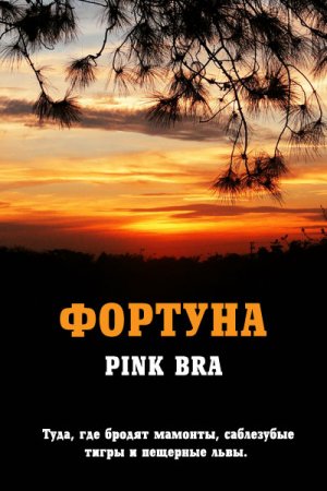 Фортуна. Pink Bra