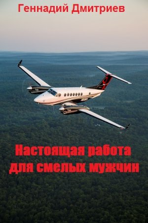 Геннадий Дмитриев. Цикл - Настоящая работа для смелых мужчин