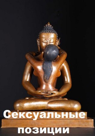 Сексуальные позиции