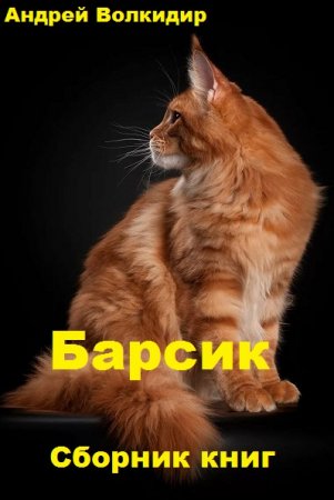 Андрей Волкидир. Цикл - Барсик