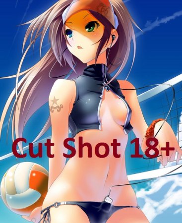 Игорь Некрасов. Цикл - Порноподработка