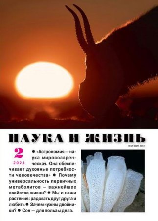 Журнал - Наука и жизнь №2 (февраль 2023)