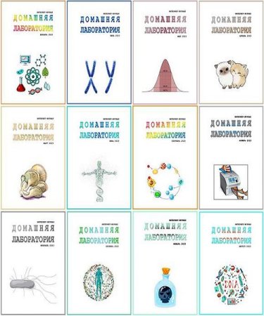 Журнал - Домашняя лаборатория 12 номеров (2023)