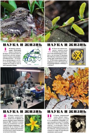 Журнал - Наука и жизнь. 12 номеров (2024)