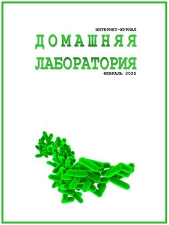 Журнал - Домашняя лаборатория №2 (февраль 2025)